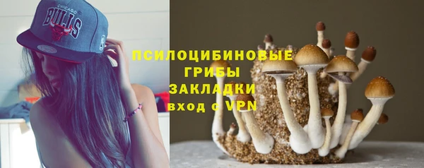 дмт Горнозаводск