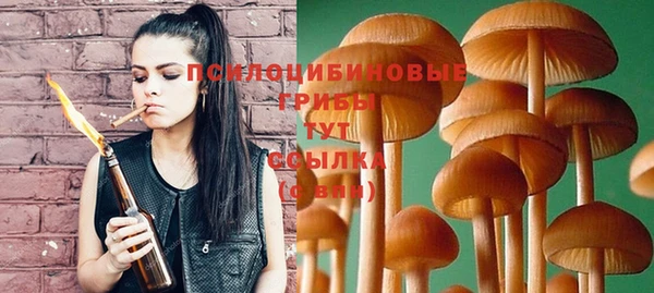 марки nbome Горняк