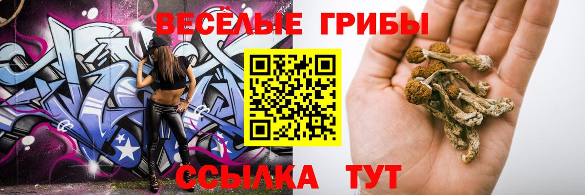 Галлюциногенные грибы Psilocybine cubensis  Галлюциногенные грибы мухоморы  Дюртюли 